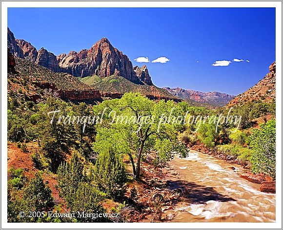 450439---The Virgin River and the Watchman